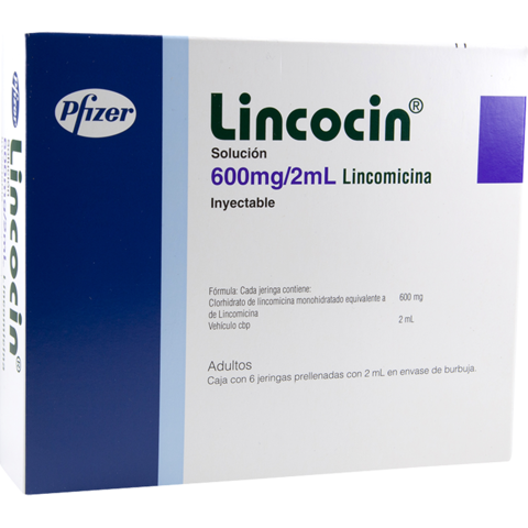 Lincocin 600 mg ampul nedir ve ne için Kullanılır?