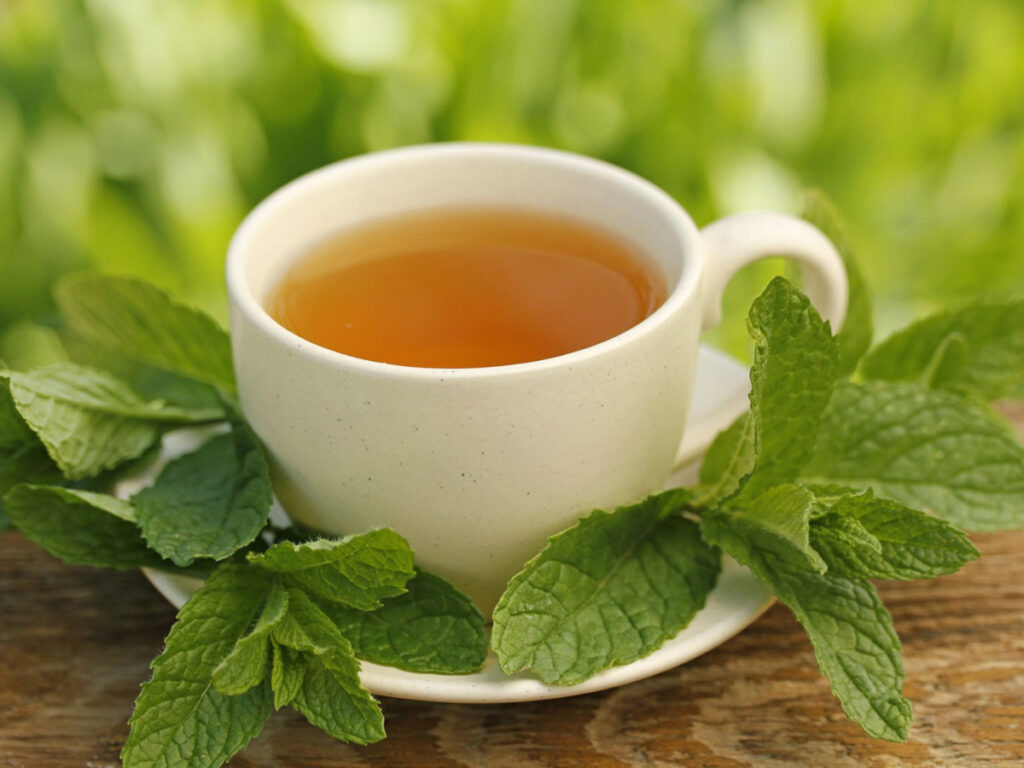 Melisa Çayı Doğal En İyi Anksiyete İlacı